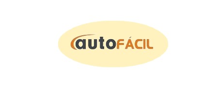 AUTOFCIL - Franquias automotivas estimulam novos investidores: 10 lojas em 2012, 30 em 2013