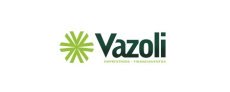 VAZOLI - Estratgia de master-franqueado para alcanar 100 unidades em 2013